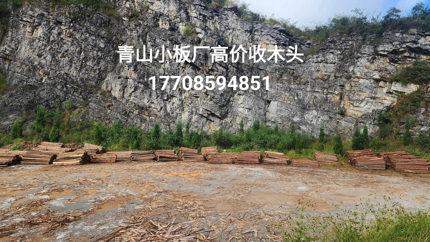 杉木板芯   青山小板厂大量收购香杉柳杉原木